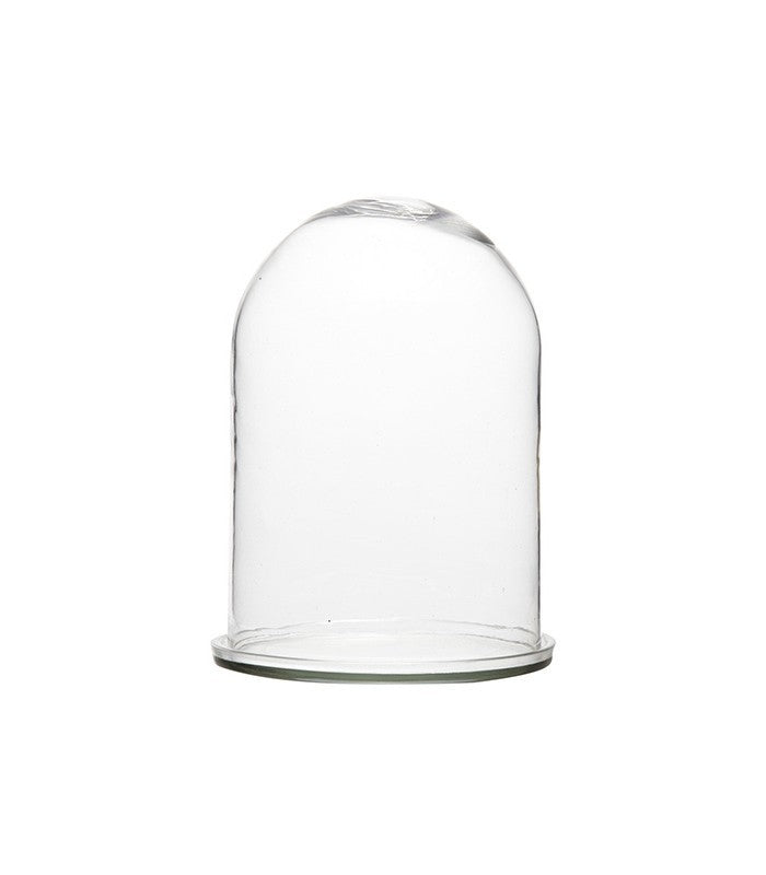 Cloche en verre avec socle en verre